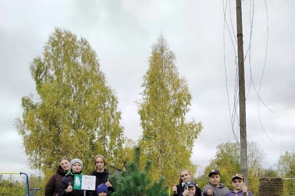 Young volunteers from the village of Gribuli planted pine trees in the alley