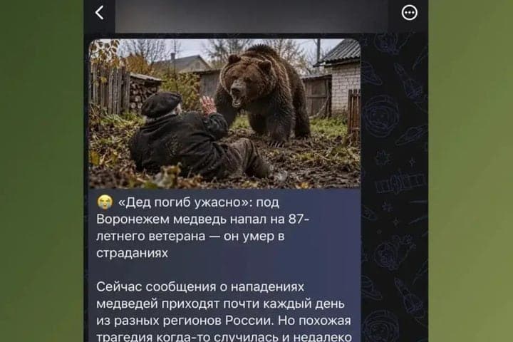 In Voronezh spread fake about the attack of a bear on 87-year-old veteran