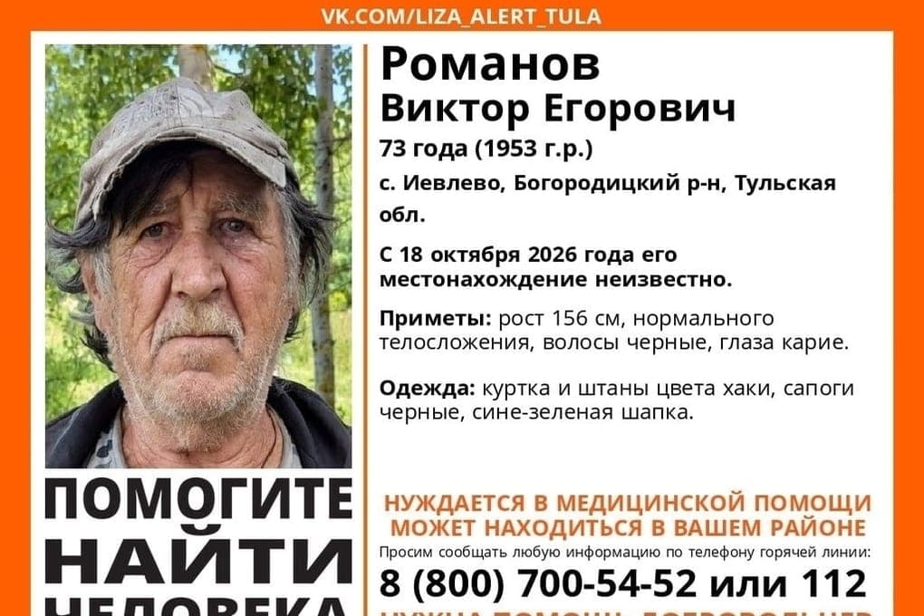 Волонтеры просят туляков помочь найти 73-летнего Виктора Романова в куртке хаки