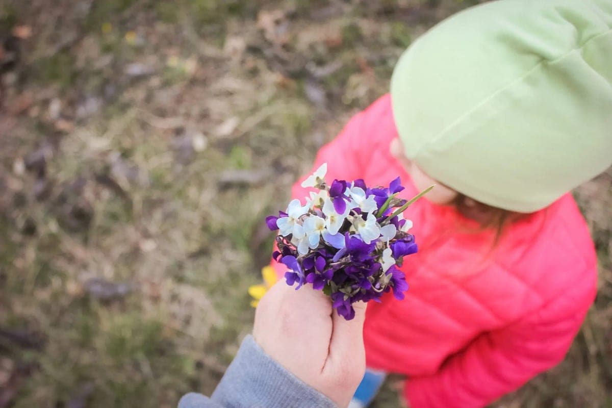 City children's clinic in Kaliningrad warned because of lice in kindergarten