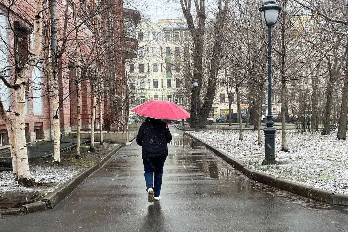 Wet snow and wind up to 20 m / s: weather forecast in the Murmansk region on October 15