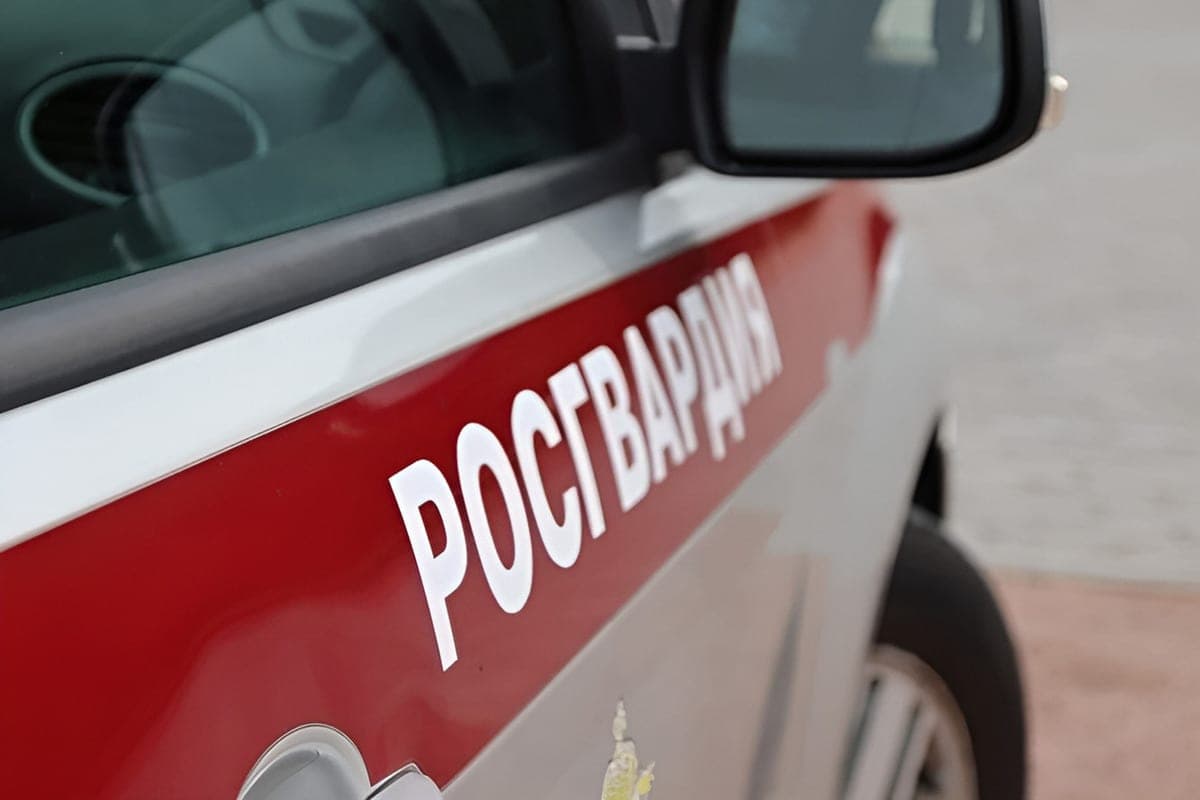 Rosgvardeytsy helped lost in Kirishi St. Petersburg to return to their relatives