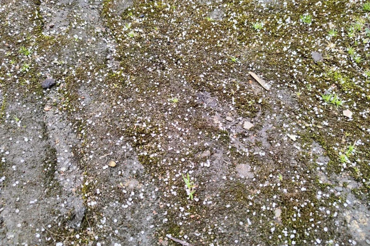 Thunderstorms with hail await the Kaliningrad region on October 14