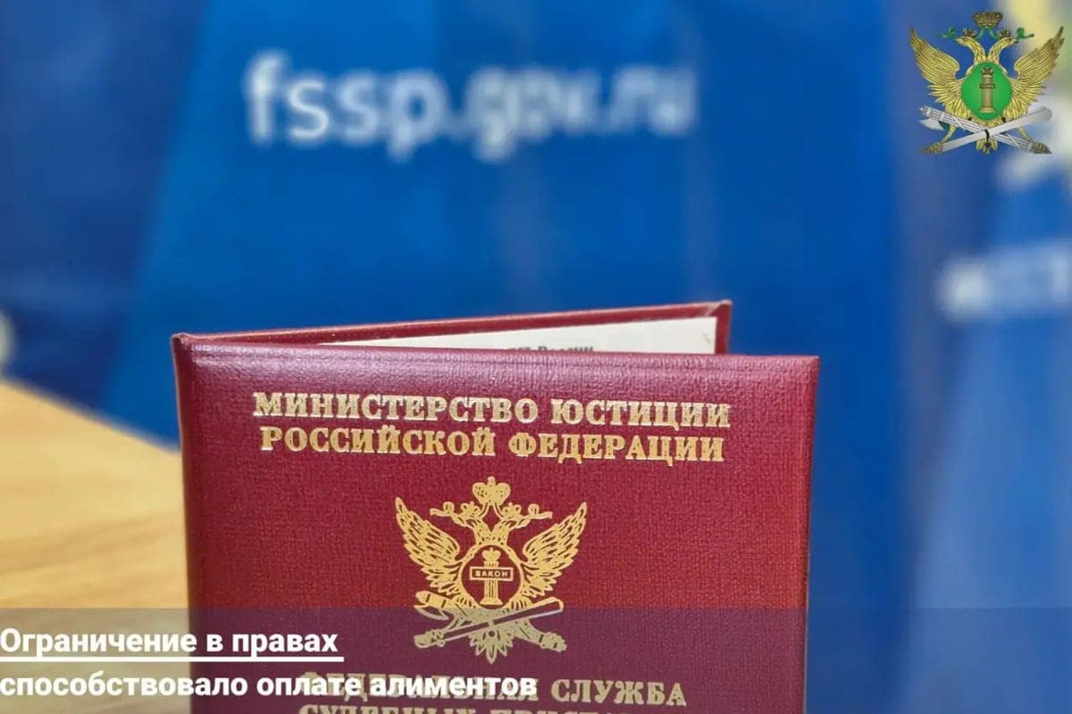 Житель Тамбовской области накопил 300-тысячный долг по алиментам в двух районах