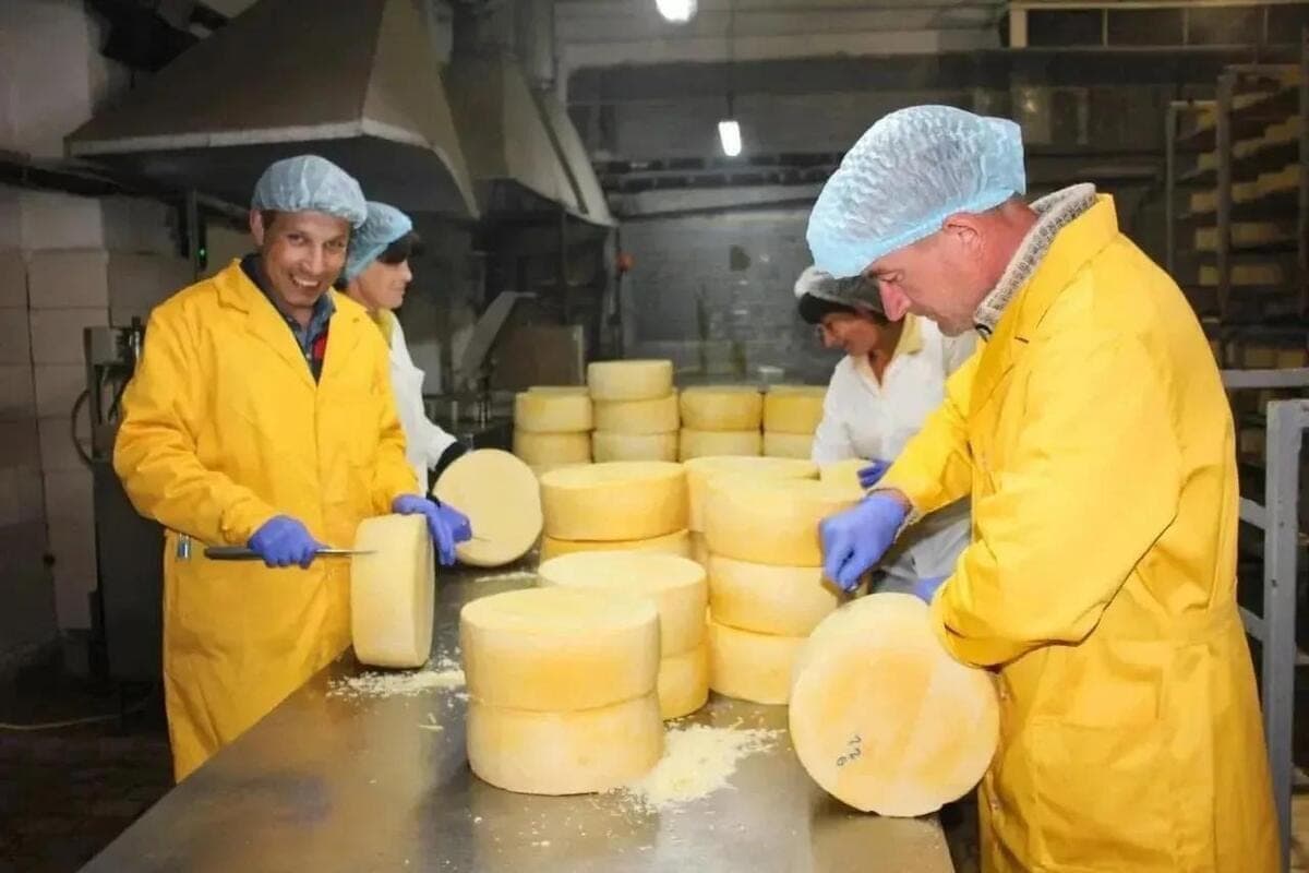 More than 140 enterprises develop the food industry of Luhansk region
