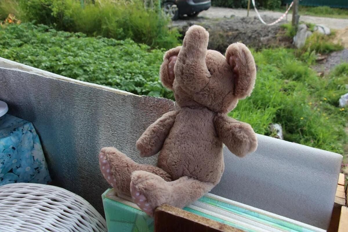 Young Leningraders are waiting for crafts at the contest of homemade toys