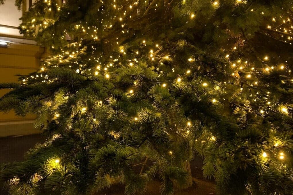 Glowing deer and balls in the country: how to create a cozy atmosphere and not arrange a short circuit