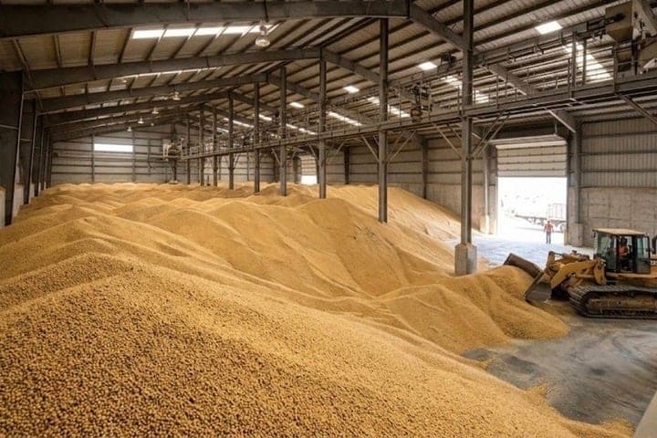 Los agricultores de Tambov recolectaron más de 500 mil toneladas de soja