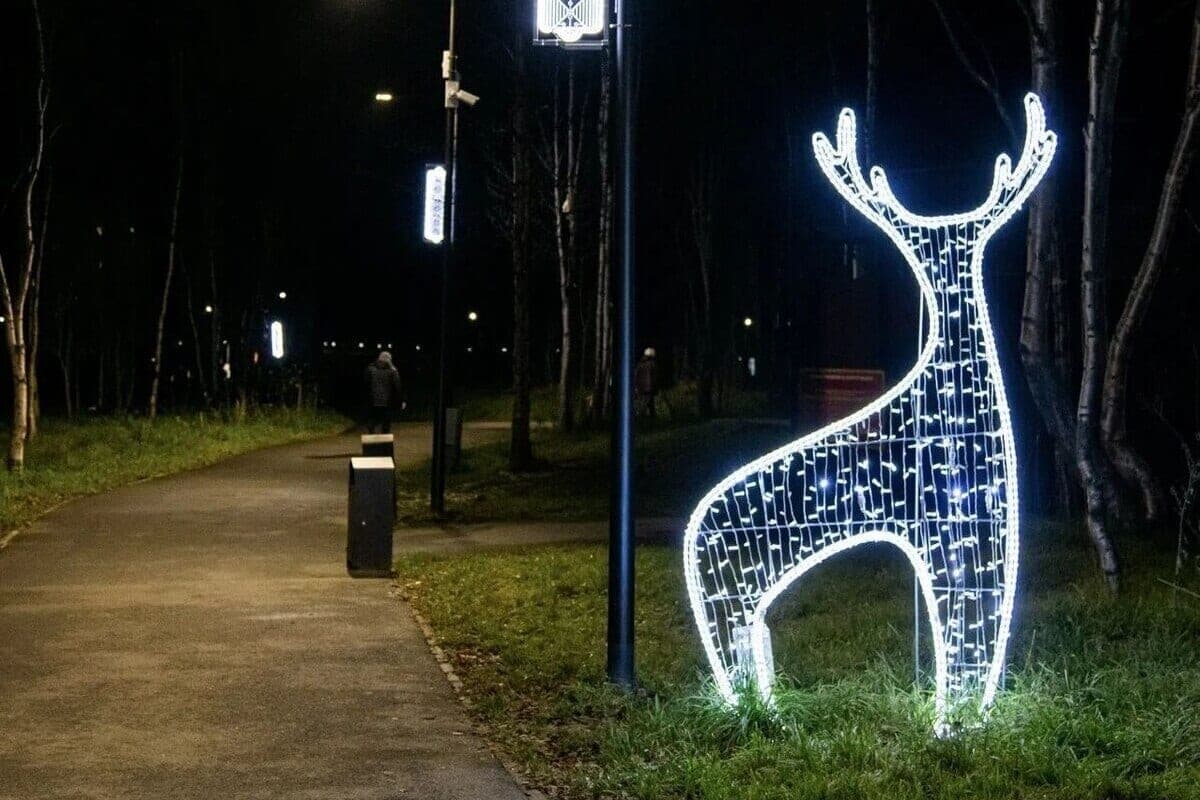 Lebedev: for the polar night in Murmansk have already decorated “Seed” and “Clean stream”