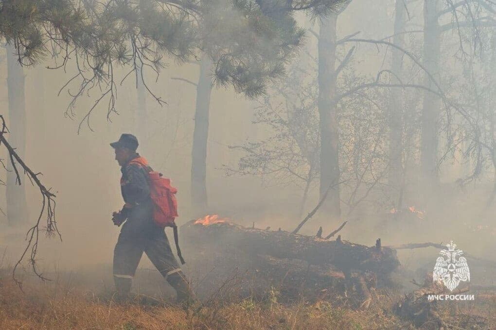 In the Krasnogvardeysky district of the Crimea extinguished 200 squares of dry grass