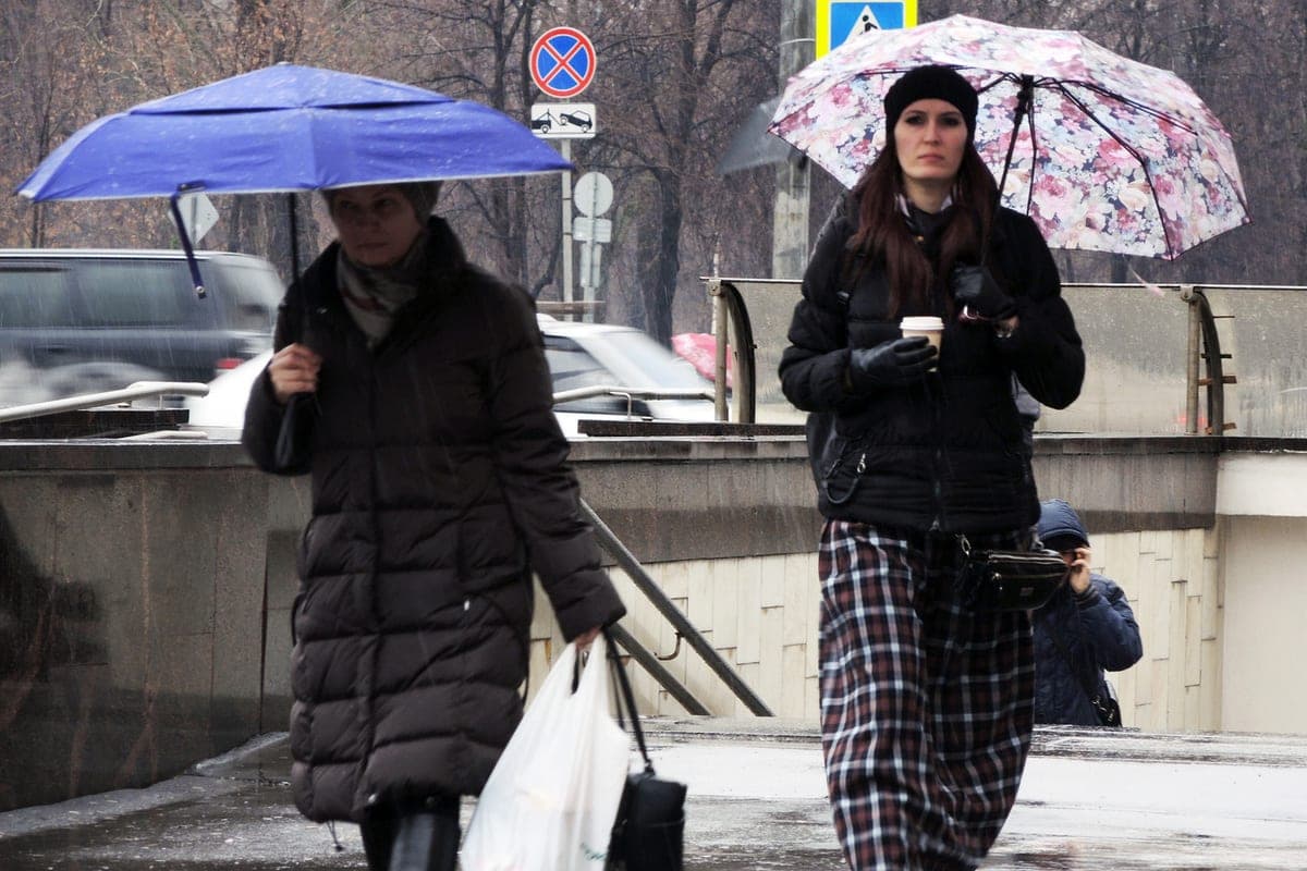 Москвичам рассказали о погоде в пятницу