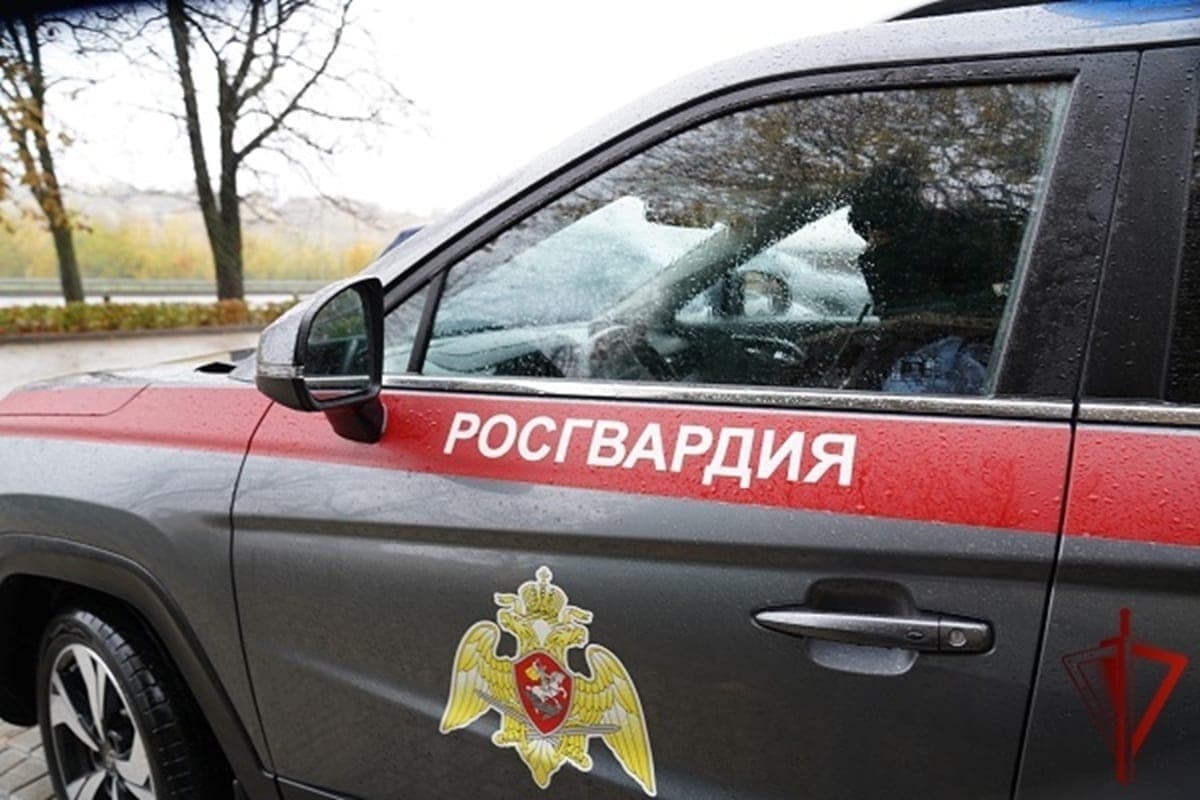 For a week, the Kursk Rosgvardeytsy suppressed 120 administrative violations