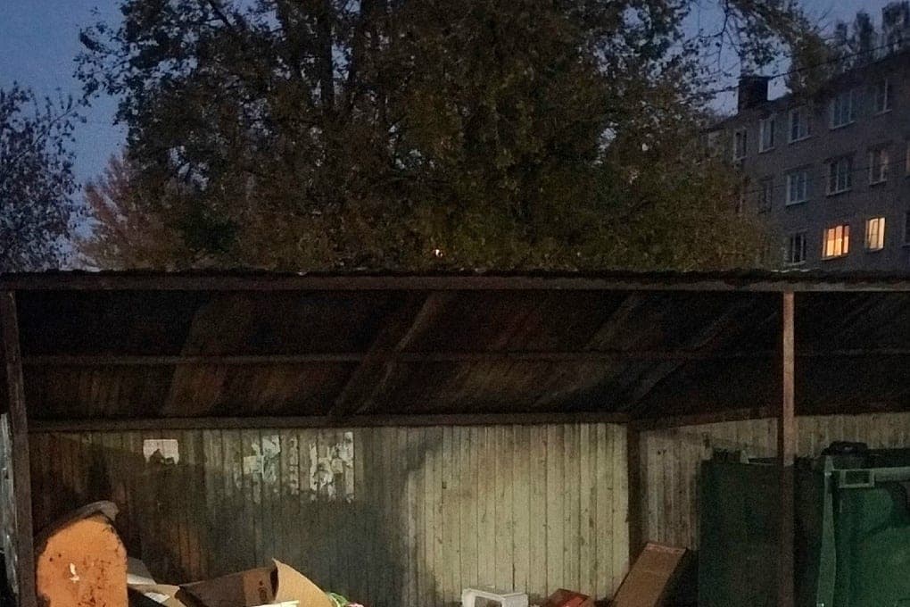 In Yaroslavl, the topic of non-removable garbage is not without reason does not lose relevance