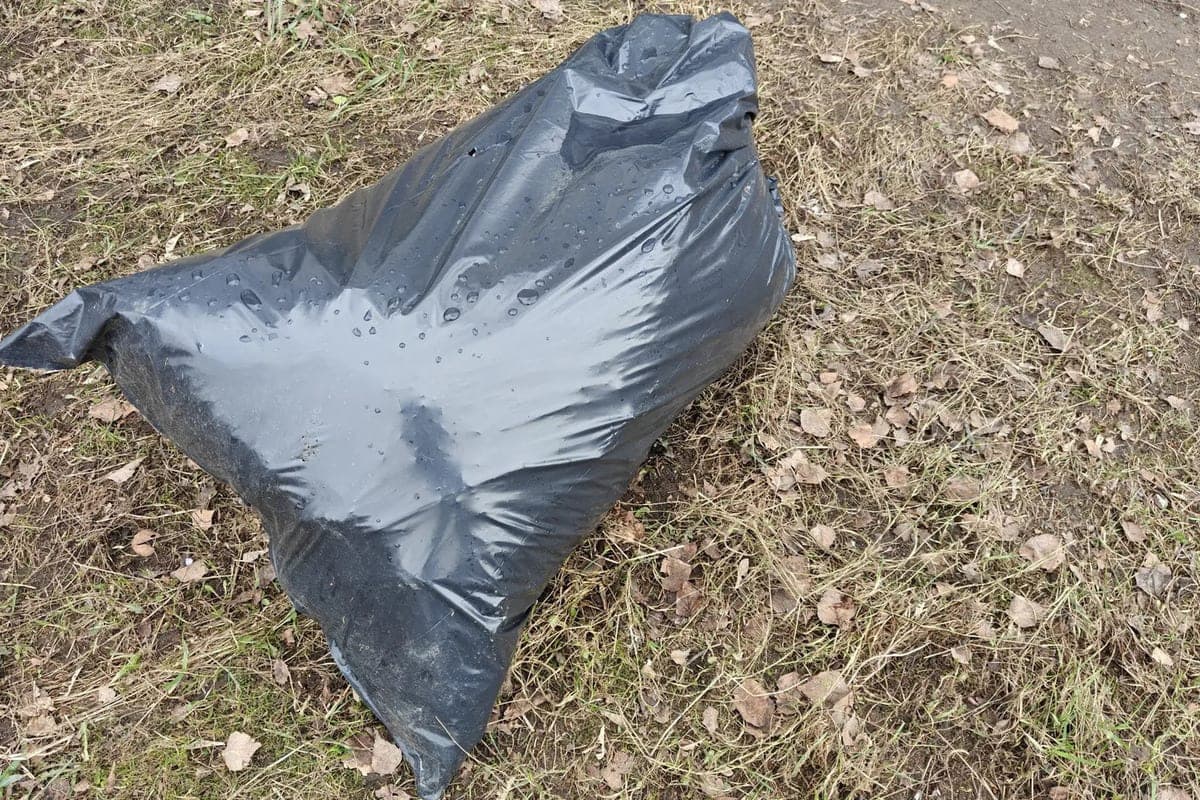 From the coast of the Kaliningrad region collected 274 cubic meters of garbage