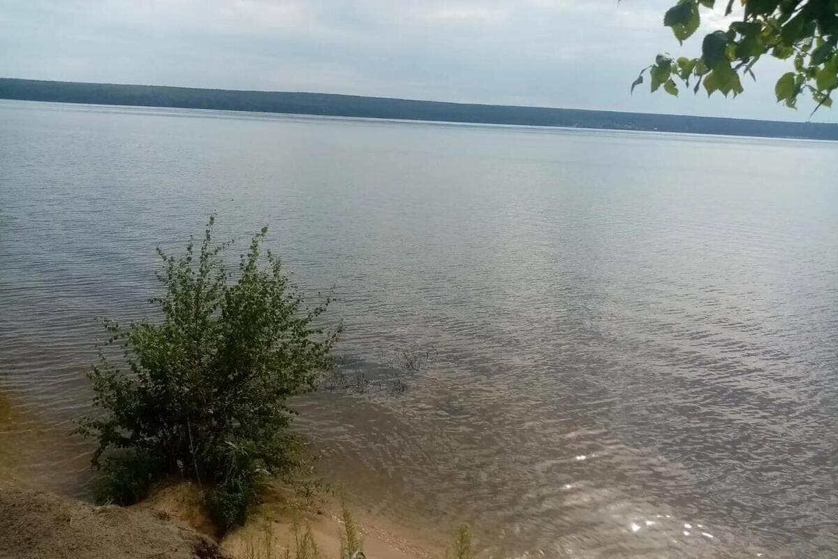 For illegal fishing on Sur two men received suspended sentences