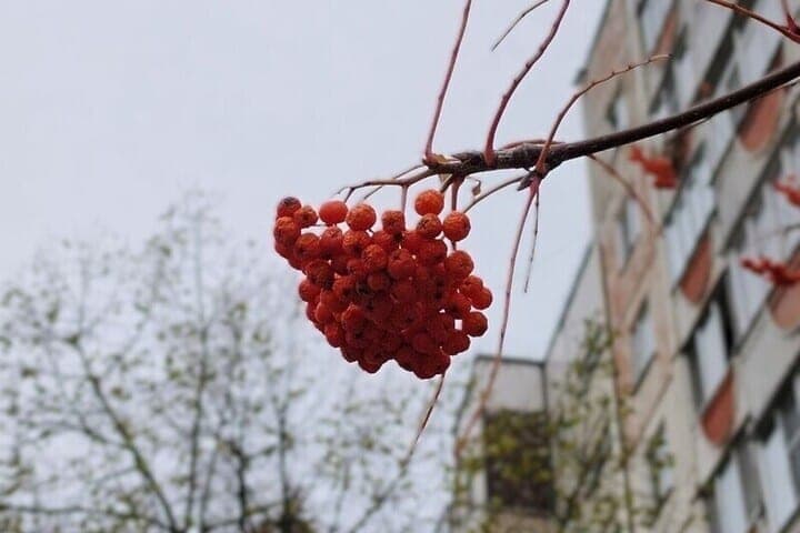 Saturday will give Belgorod residents autumn warmth