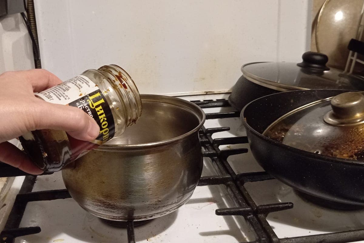 Novgorod Rospotrebnadzor advised to use chicory as a spice