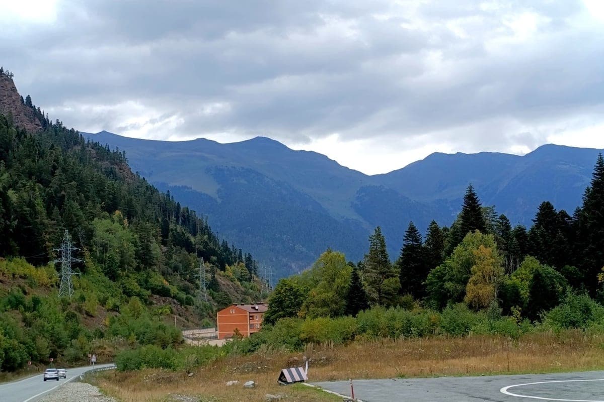 In North Ossetia proposed to shoot the bears because of frequent exits to people