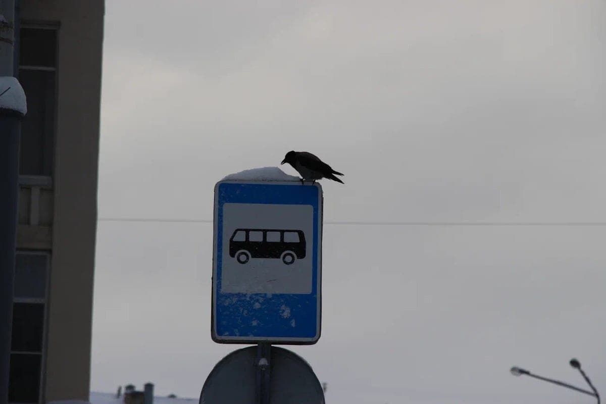 Bus No. 7 flights are cancelled on weekends