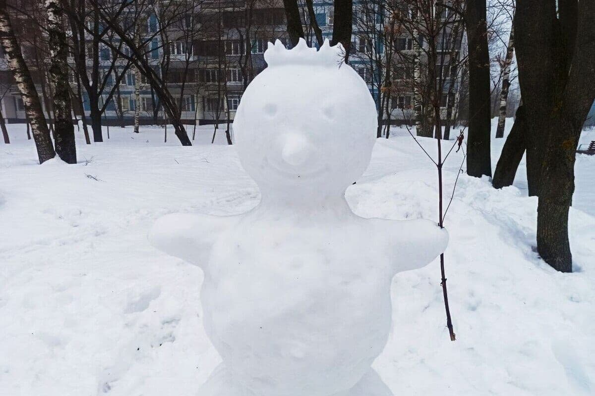 The arrival of meteorological winter in the Kostroma region is delayed