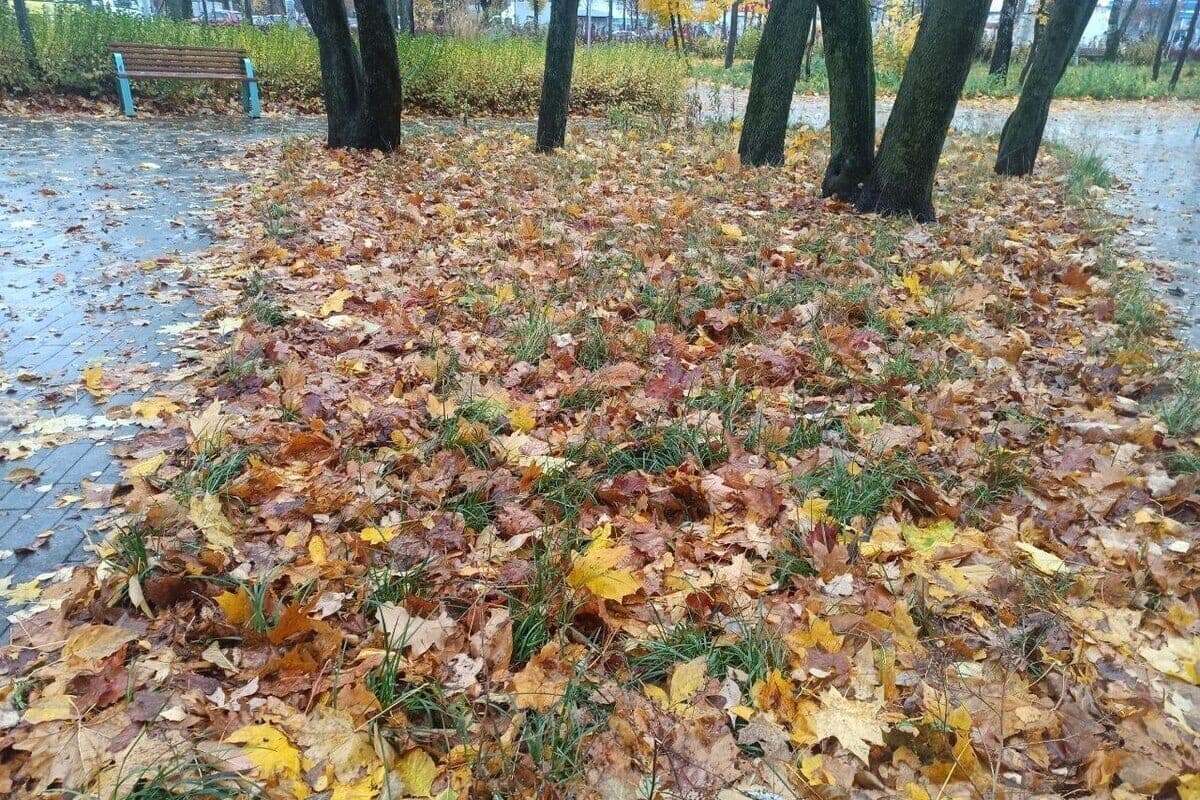 Выходные в Костромской области начнутся с легкой дымки