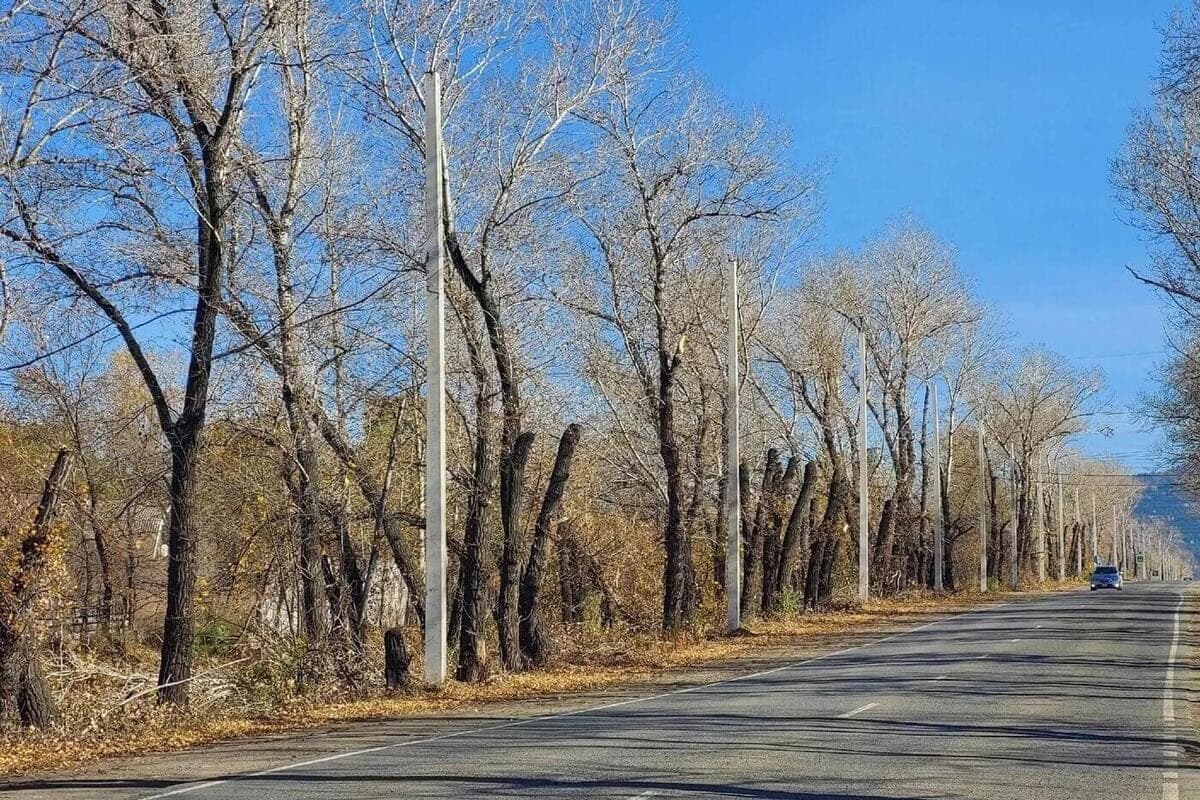 In the Khakassian city of Sayanogorsk passed the first day without reports of bears