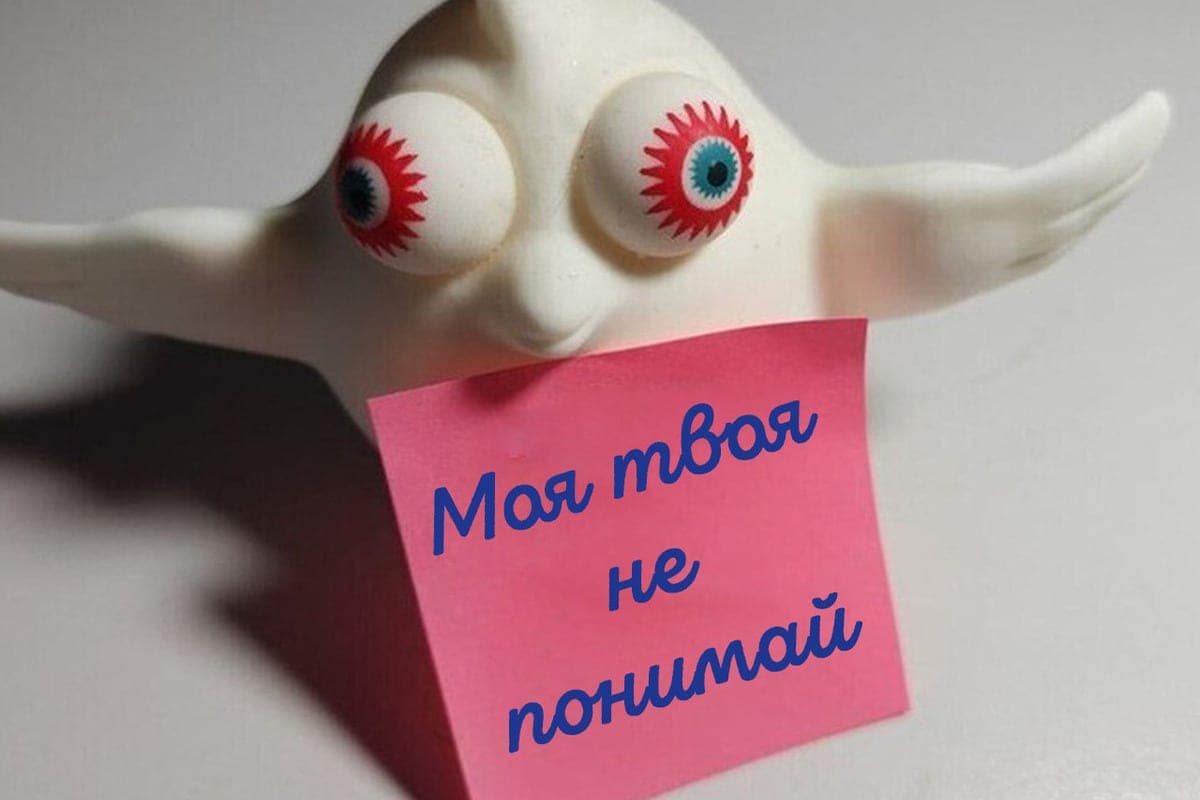 NovSU issued certificates to migrants unable to link two words in Russian