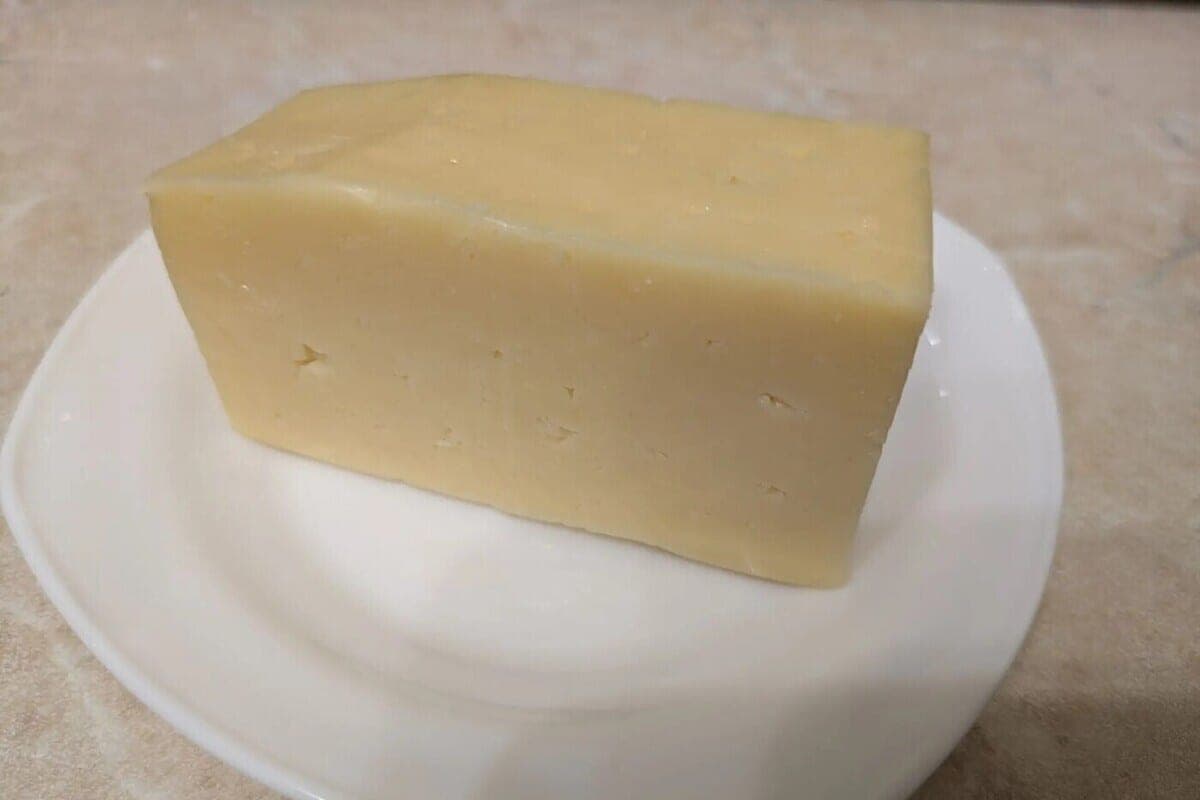 Putin praises Voronezh cheese