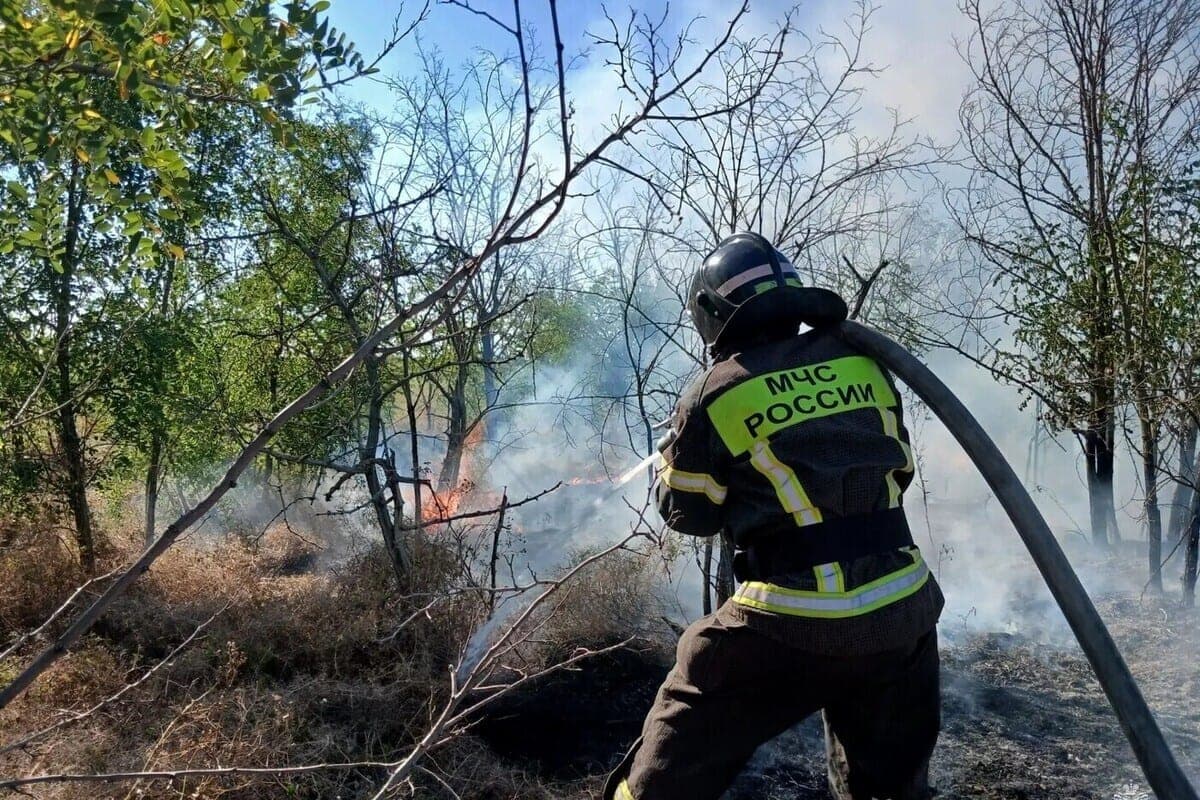 Человек погиб на пожаре в Запорожской области