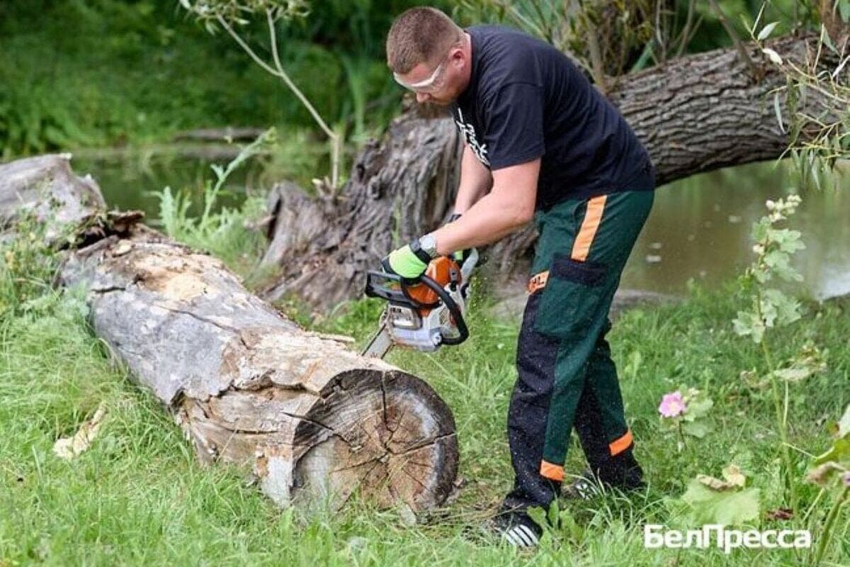 Sleeping, mowing, cleaning: the Belgorod citizen expanded services thanks to the social contract