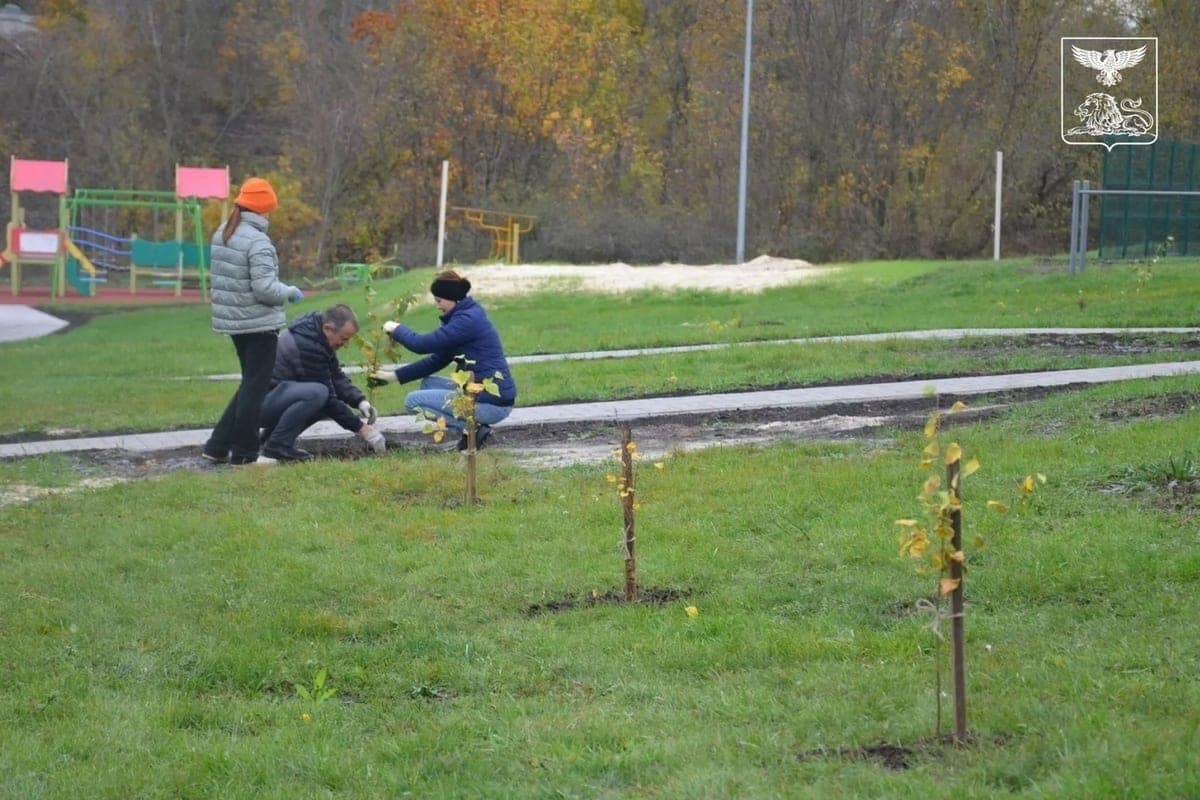 Rakitian authorities and volunteers planted 35 birch seedlings