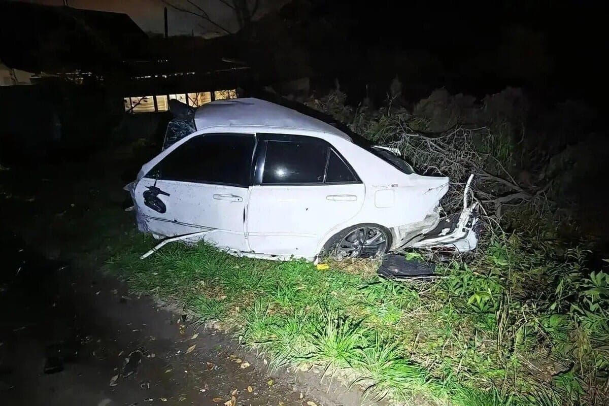 Das Auto brach nach einer Kollision mit einem Baum, der Fahrer starb