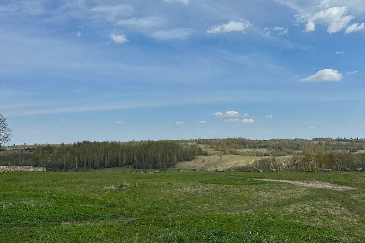 The agricultural enterprise near Slavsk paid for “chemicals”