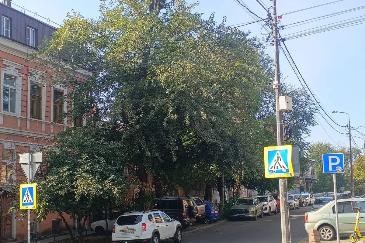 Up to 28 degrees predicted in the Rostov region on Monday