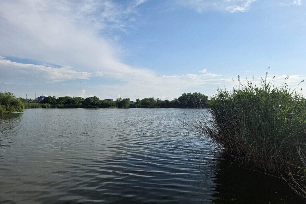 Тело ребёнка нашли в реке около хутора в Краснодарском крае