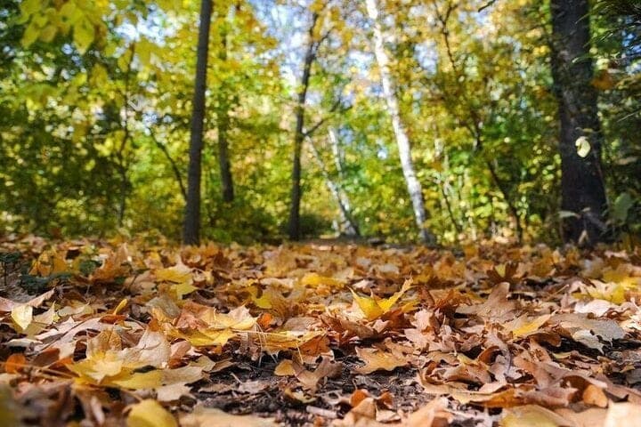 Volgograd residents are waiting for sunny weekdays and rainy weekends