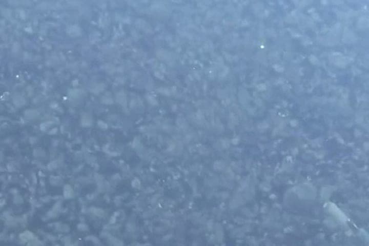 Des scooters électriques de location ont été trouvés dans les eaux de Sotchi: les résidents ont signalé des cas de vandalisme