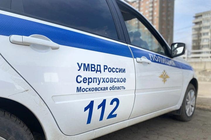 Житель Серпухова предстанет перед судом за убийство своей таксы