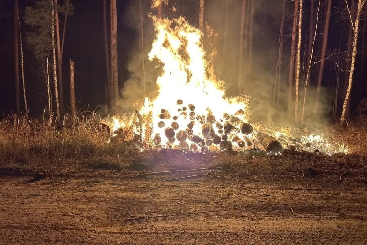В Никольском районе Пензенской области потушили лесной пожар