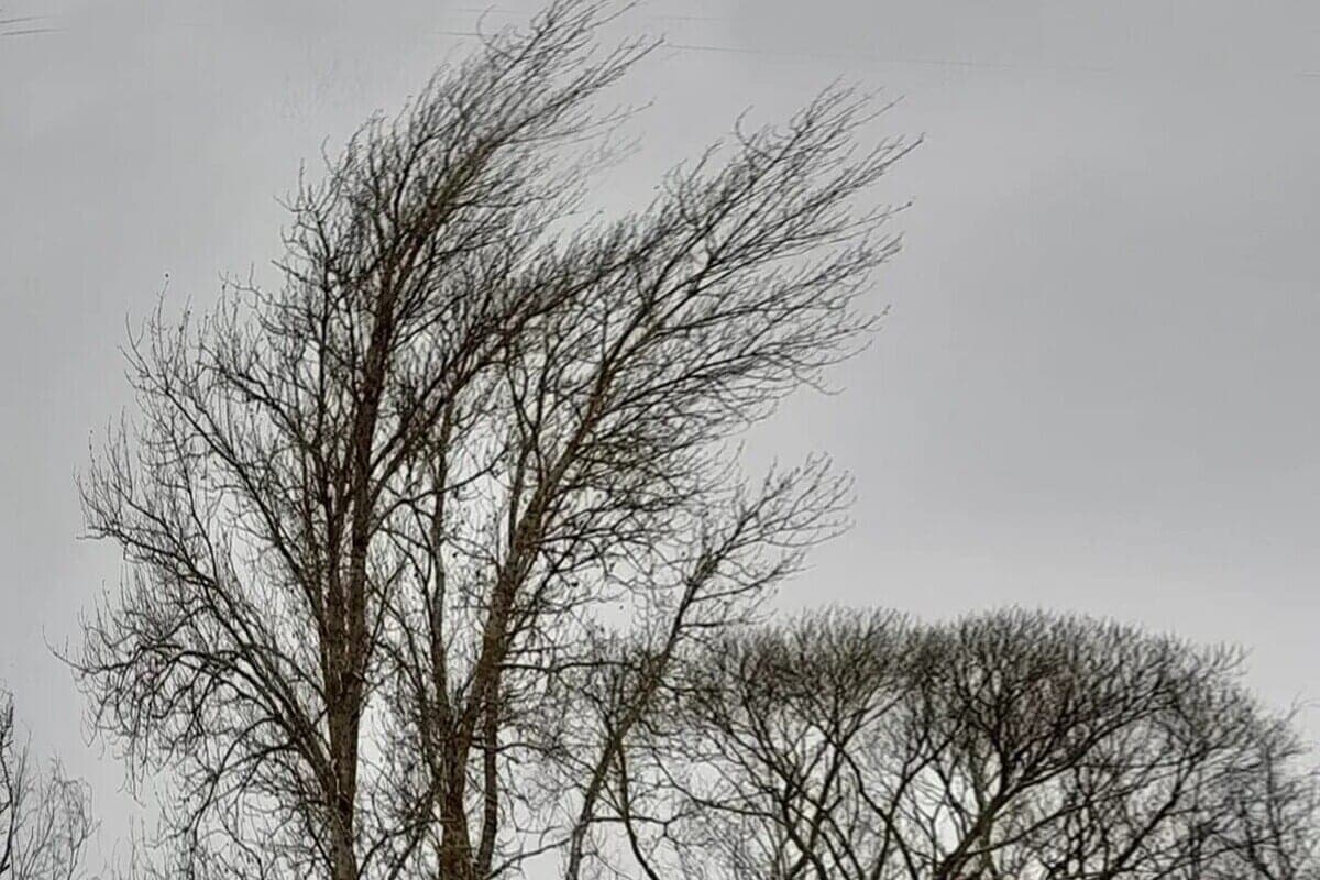 In der Region Murmansk werden am 17. Oktober Wind und Temperaturen bis zu +6 Grad erwartet