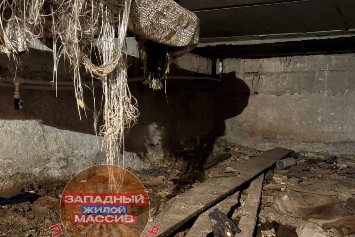 Raw and rotten pipes: Rostov residents complained about the basement of the house on Sorge