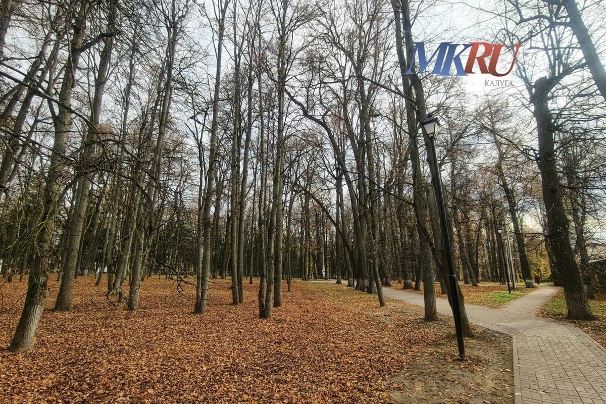 In the Kaluga region will warm up to +16
