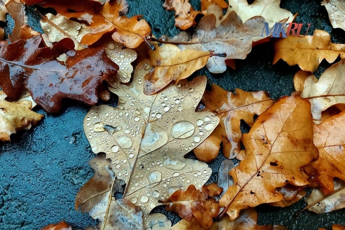 Калужанам рассказали, как избежать осенней хандры