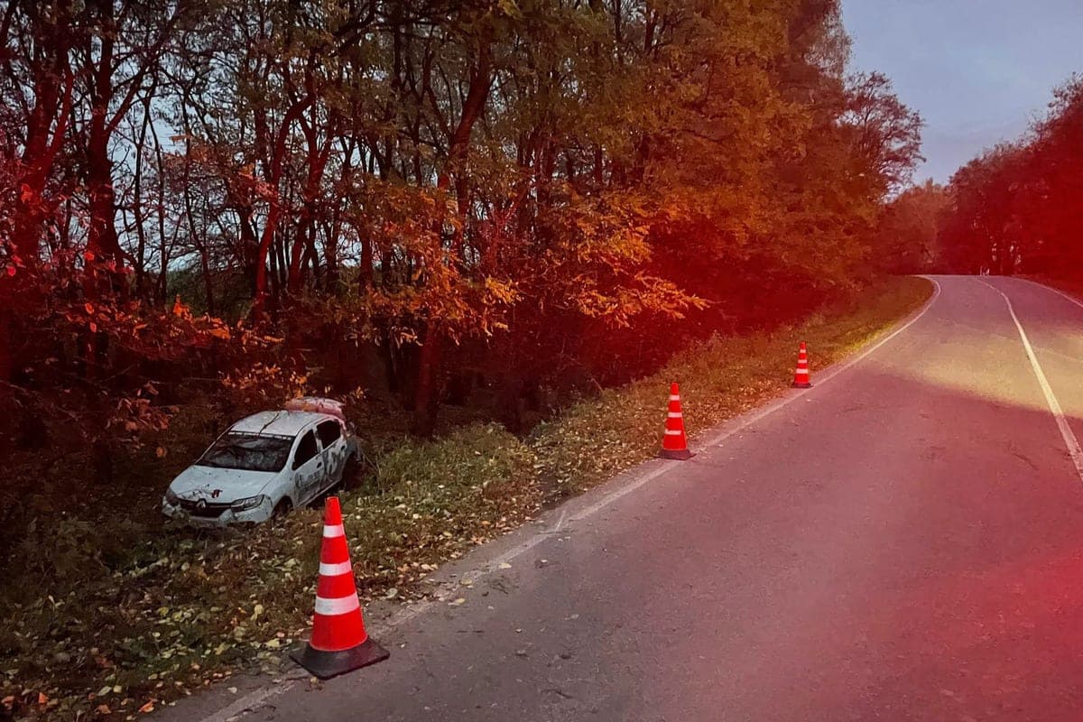 В Орловской области водитель «Рено» вылетел в кювет