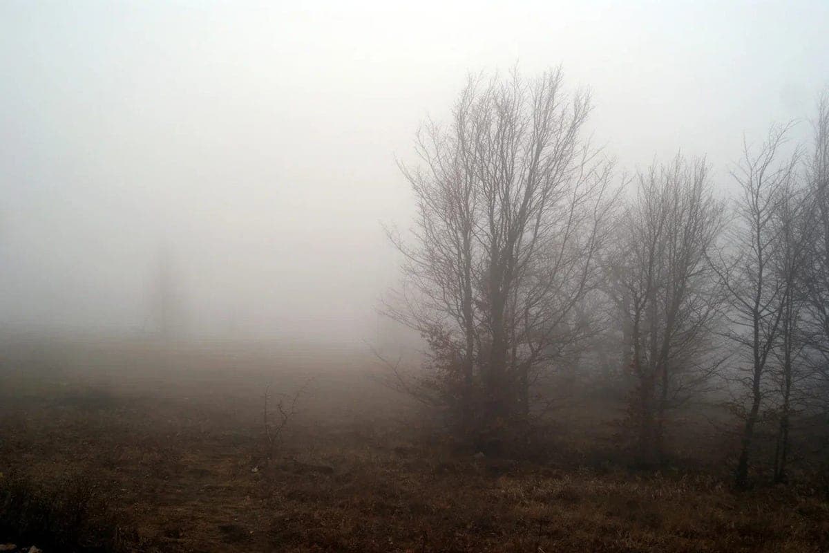 Small rainfall and fog are expected in NAO on October 22