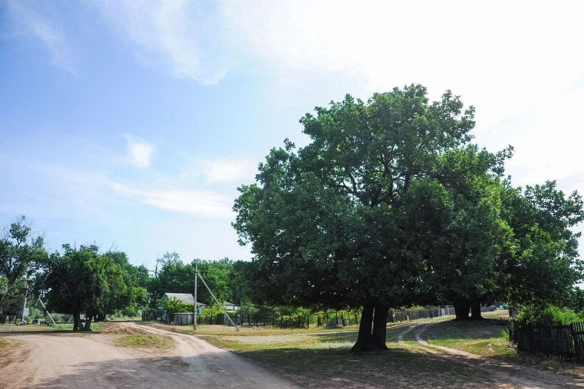 On the island of Sarpinsky in Volgograd introduced restrictions due to rabies