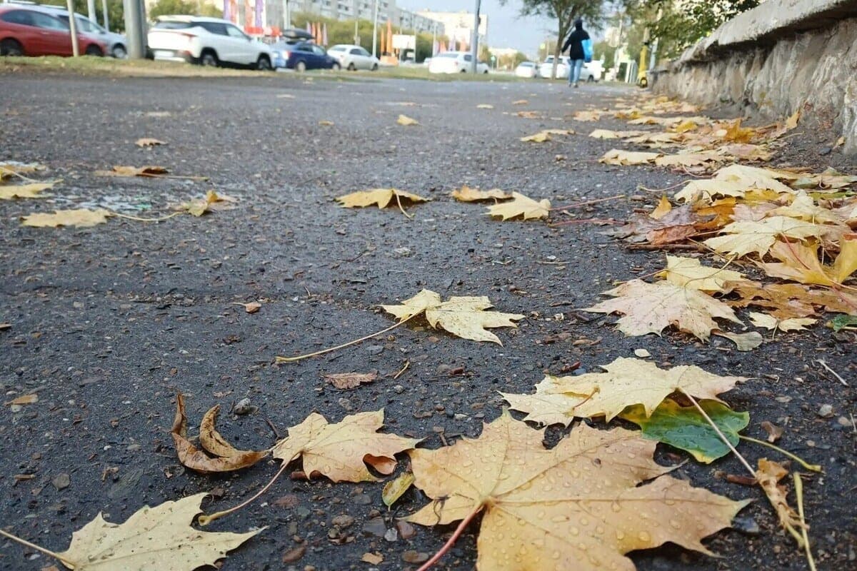 Warm weekend, and from Monday - rain and cold