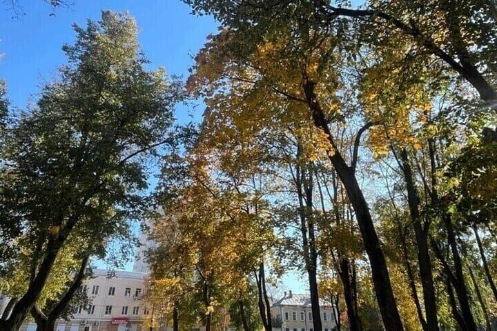 Up to 16 degrees and without rain: weather forecast in the Lipetsk region on October 22