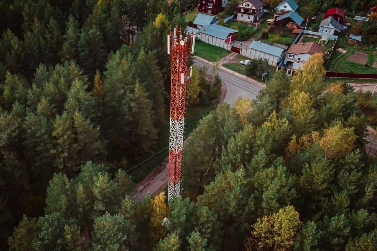 Сезон не закрыт: крупный мобильный оператор улучшил связь для дачников Колыванского района