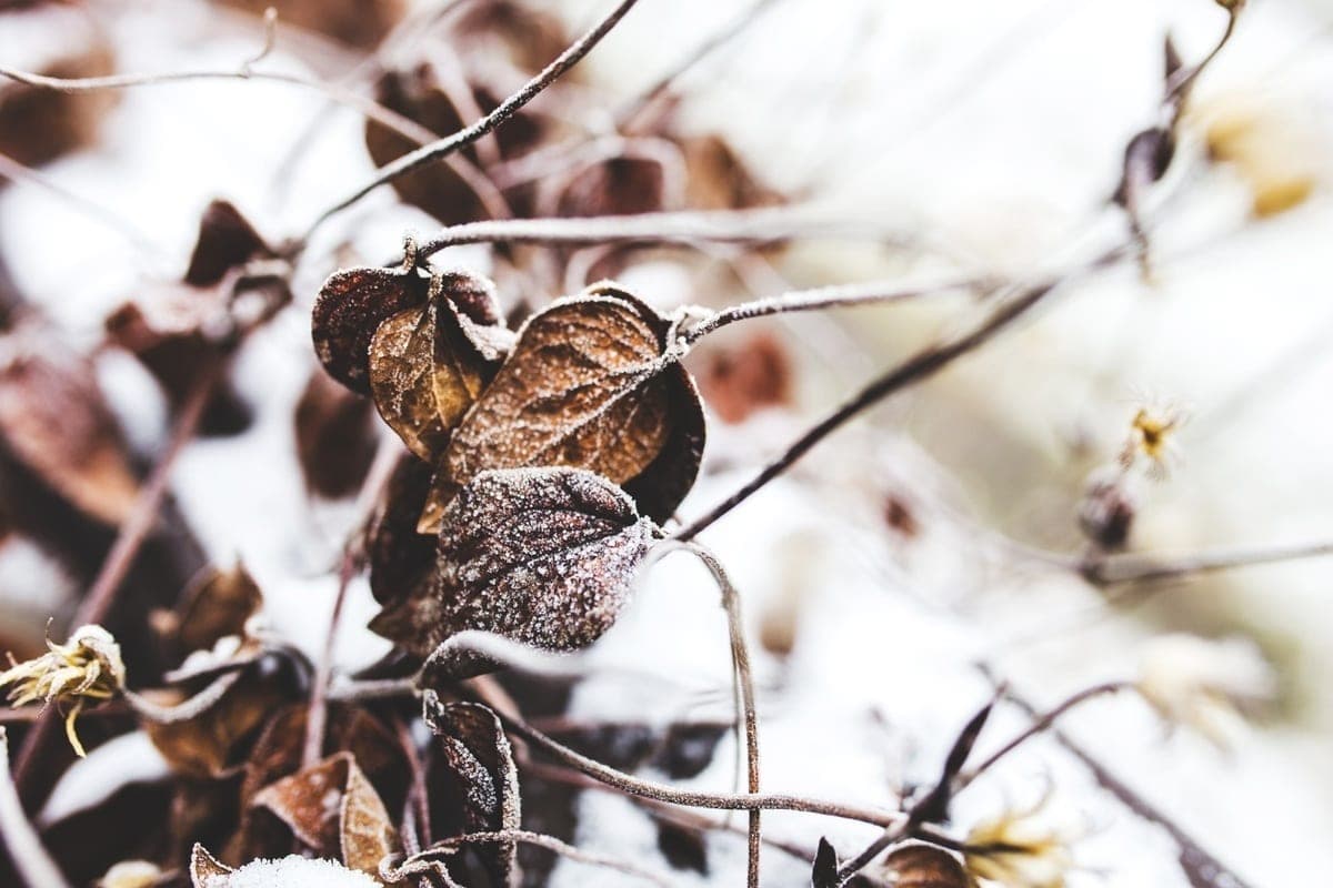 In Krasnoyarsk on Tuesday expected snow and ice